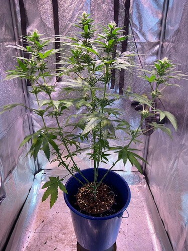 Growreport Bild 5