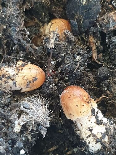 photo_2023-10-16_13-09-09