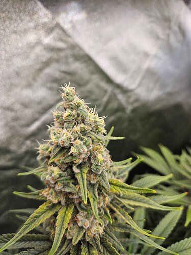 Growreport Bild 22