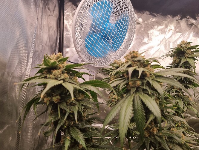 Growreport Bild 7