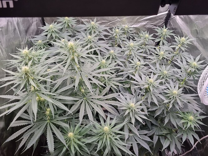 Growreport Bild 24