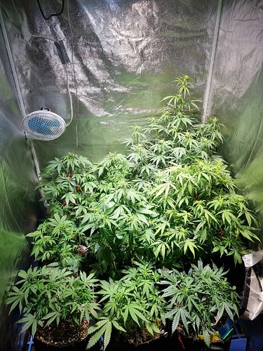 Growreport Bild 22