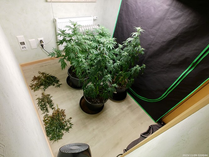 Growreport Bild 22