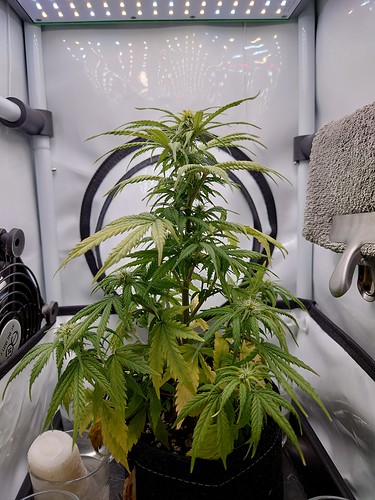 Growreport Bild 1