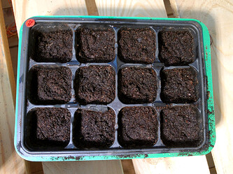 Growreport Bild 86