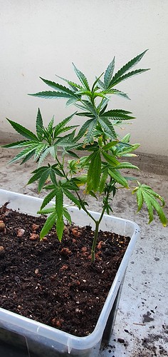 Growreport Bild 21