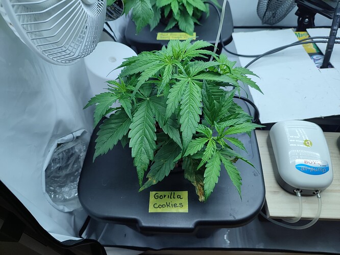 Growreport Bild 15