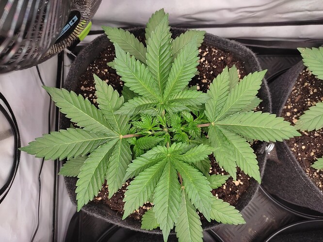 Growreport Bild 9