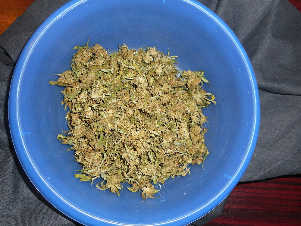 Growreport 420 FastBuds, Lemon AK, Auto