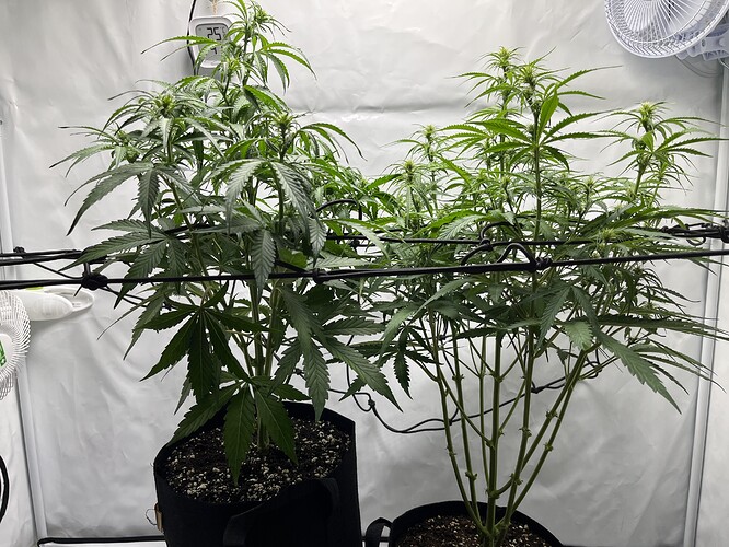 Growreport Bild 17
