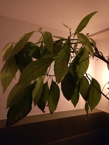 Growreport Bild 19