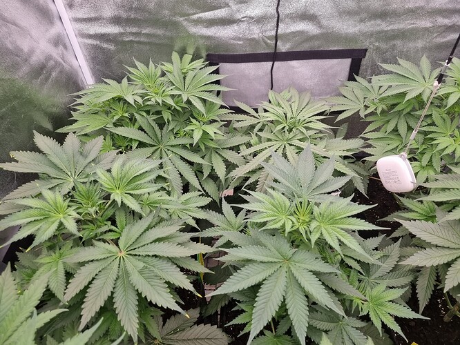 Growreport Bild 17