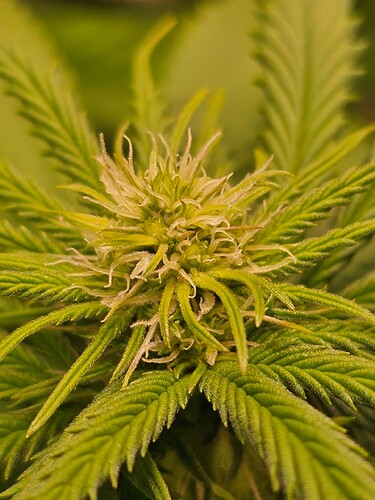 Growreport Bild 15