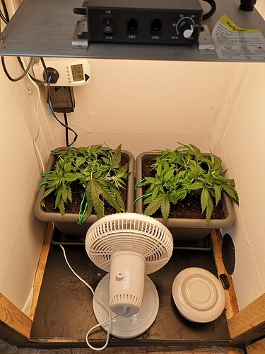 Growreport Bild 1