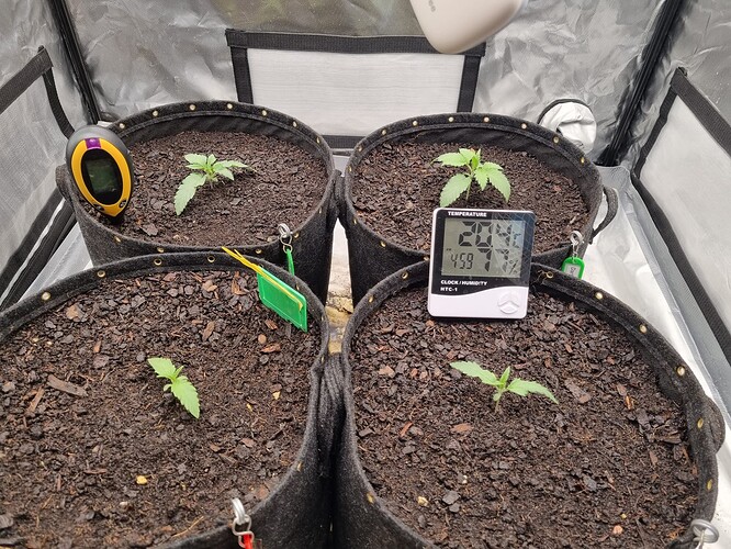 Growreport Bild 33