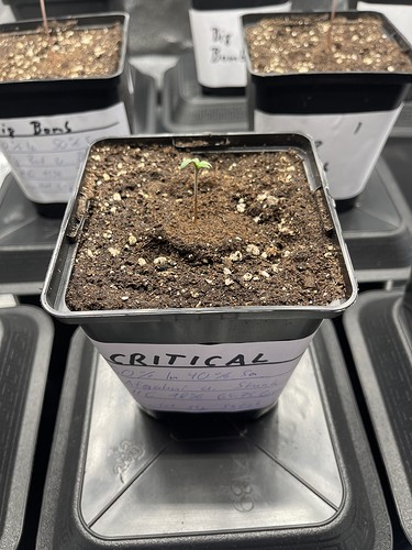 Growreport Bild 30