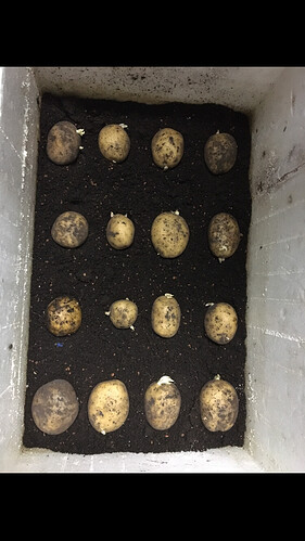 Growreport Bild 7