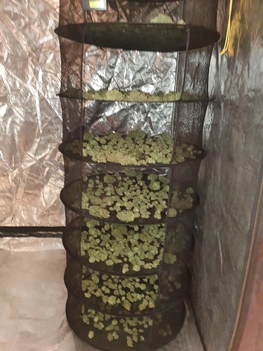 Growreport Bild 21