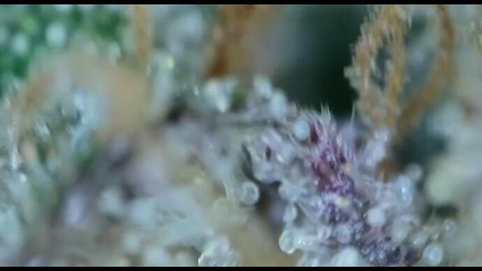 2022-06-15-000540224