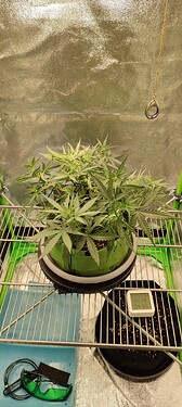 IMG_20230820_045531