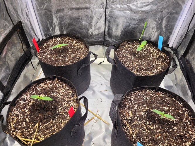 Growreport Bild 1