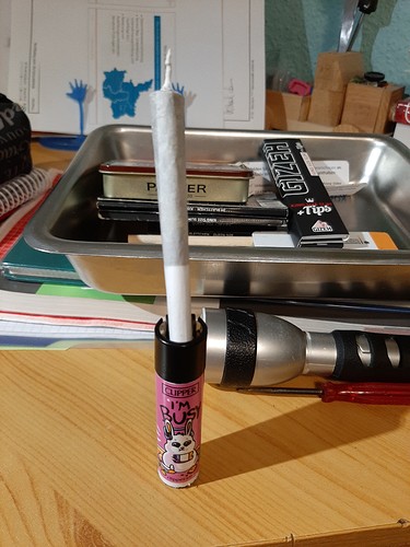 16318157958319005160751466998