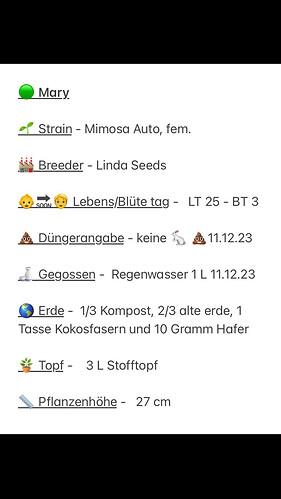 Growreport Bild 3