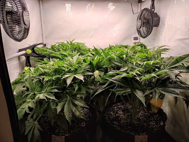 Growreport Bild 7