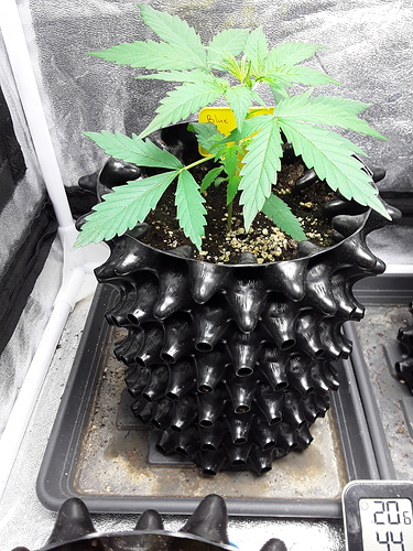 Growreport Bild 12