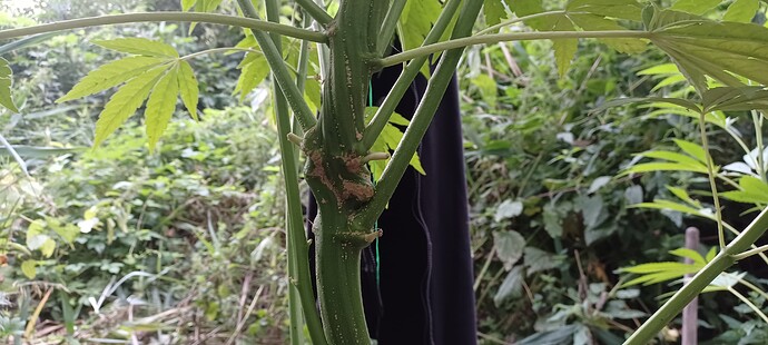 Growreport Bild 11