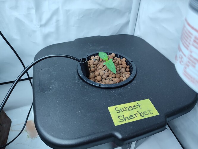 Growreport Bild 2