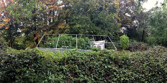 Growreport Bild 2