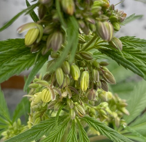 Growreport Bild 11