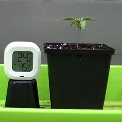 Screenshot_20211204-135550