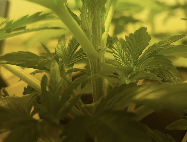 Growreport Bild 13