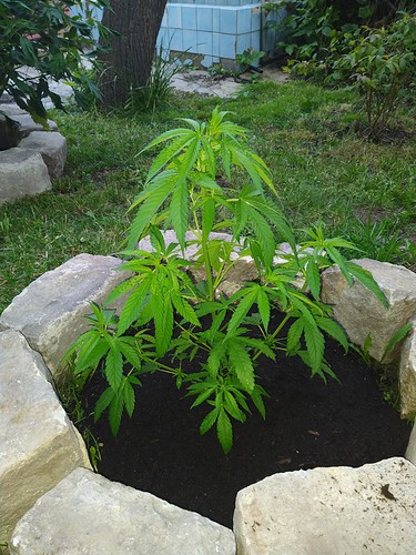 Growreport Bild 12