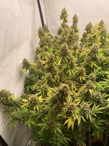 Growreport Bild 6