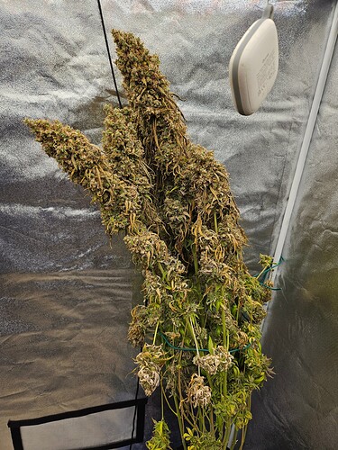 Growreport Bild 3
