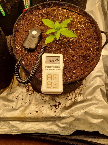 Growreport Bild 15