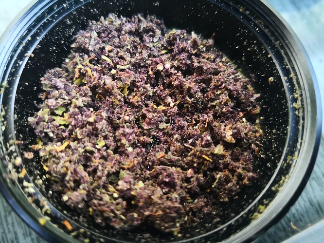 Growreport Bild 2