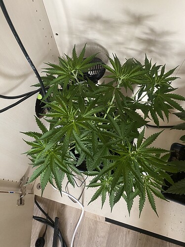 Growreport Bild 10