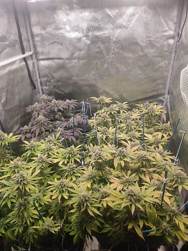 Growreport Bild 17