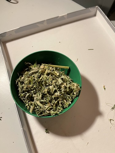Growreport Bild 33