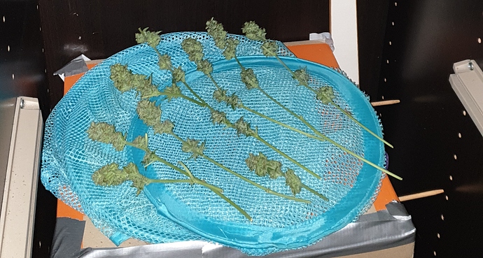 Growreport Bild 14