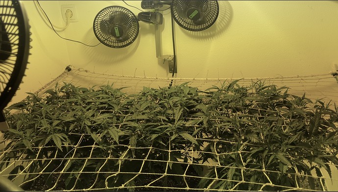 Growreport Bild 10