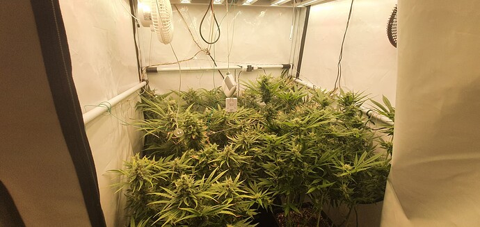 Growreport Bild 1