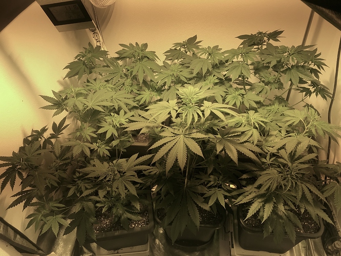 Growreport Bild 22