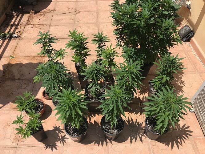 terrassen-abschied - 1