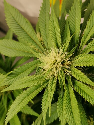 Growreport Bild 11