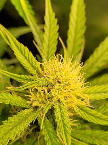 Growreport Bild 10